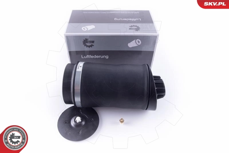 Air Spring, suspension